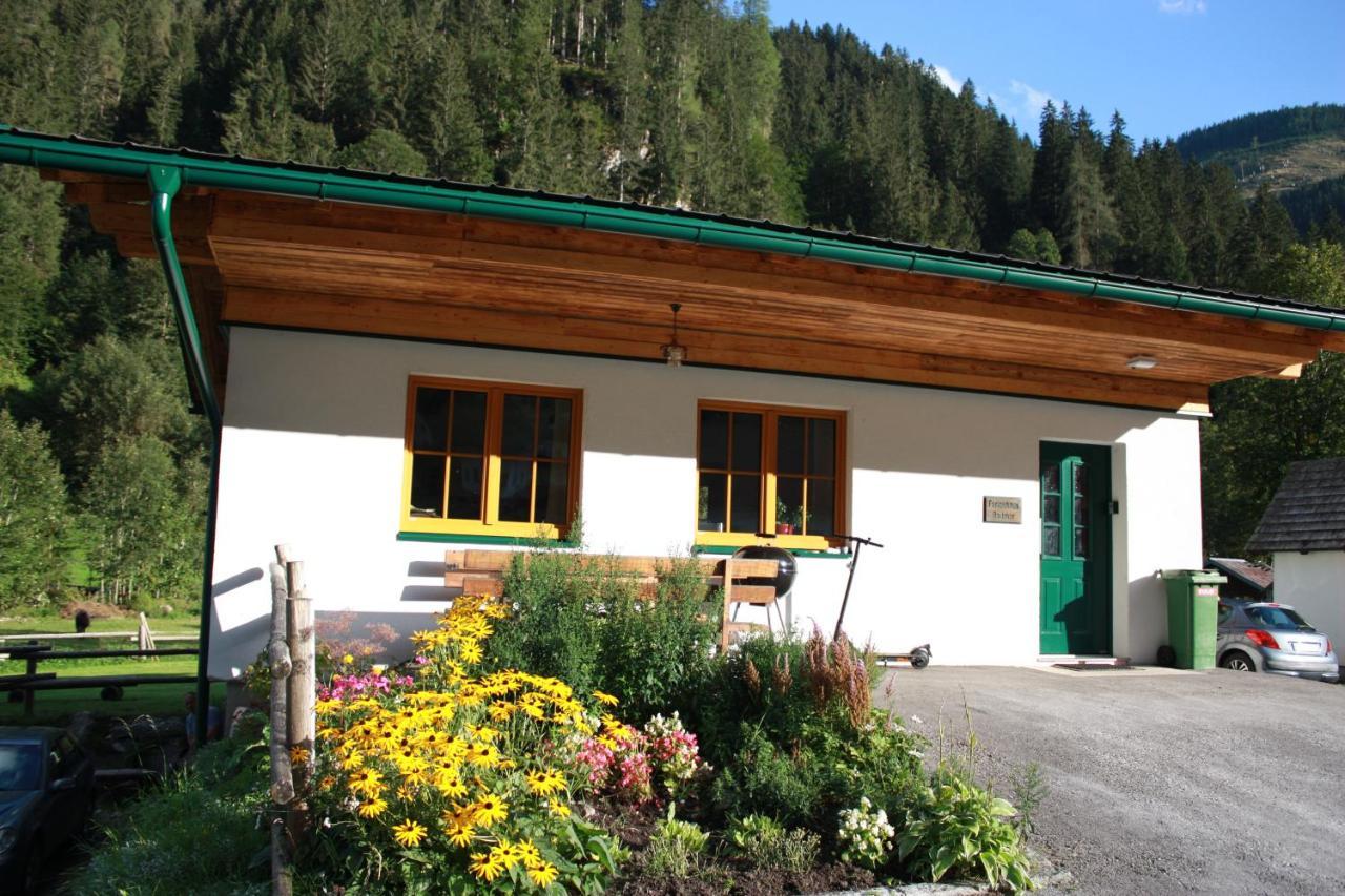 Chalet Ferienhaus Radmer Radmer an der Hasel Eksteriør billede